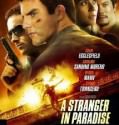A Stranger in Paradise 2013