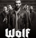 Wolf 2013