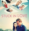 Stuck in Love (2012)