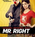 Mr. Right (2016)