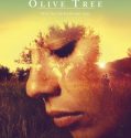 The Olive Tree (2016)