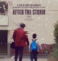 After the Storm (2016)