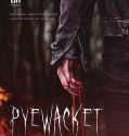 Pyewacket (2017)