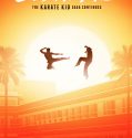 Cobra Kai (2018-) Cobra Kai (2018-)