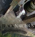 Black Narcissus (2020-)