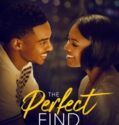 THE PERFECT FIND (2023) THE PERFECT FIND (2023)