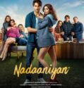 NADAANIYAN (2025)